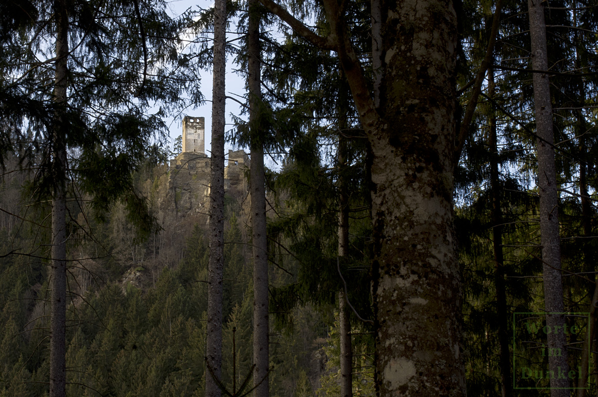 Blick durch die Wälder zur Ruine