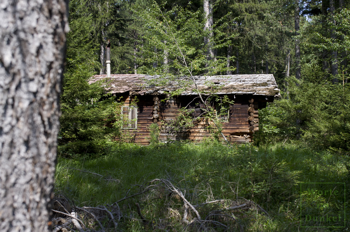 Tief im Wald steht die Hütte mit den Hinterlassenschaften der beiden Soldaten.