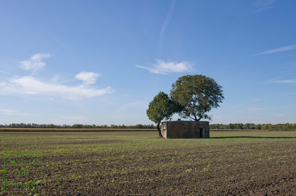 Die Bunker liegen heute inmitten landwirtschaftlich genutzter Flächen.