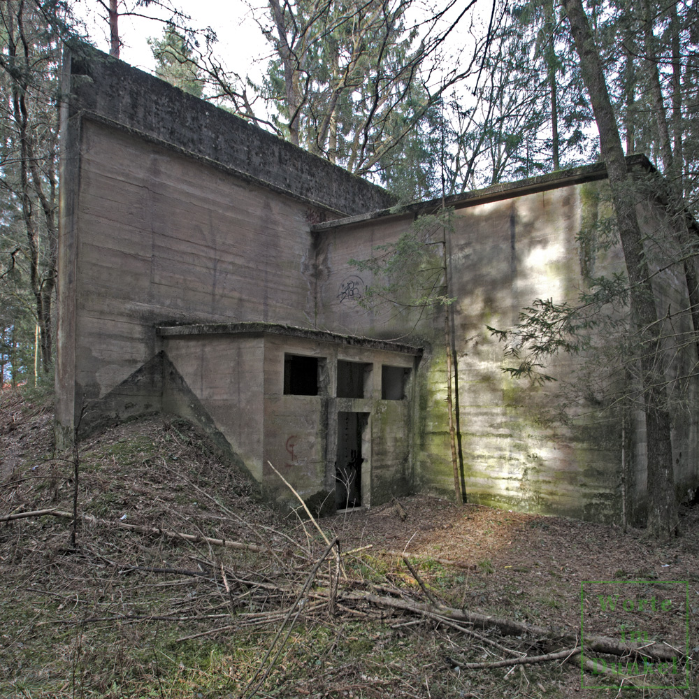 Bemalungen in Form von Bäumen an einer Schießstätte der Wehrmacht