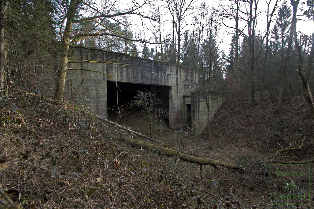 Die Schießstätte wirkt wie ein Fremdkörper im Wald.